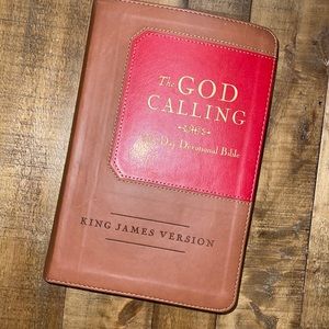 365 Day Devotional Bible